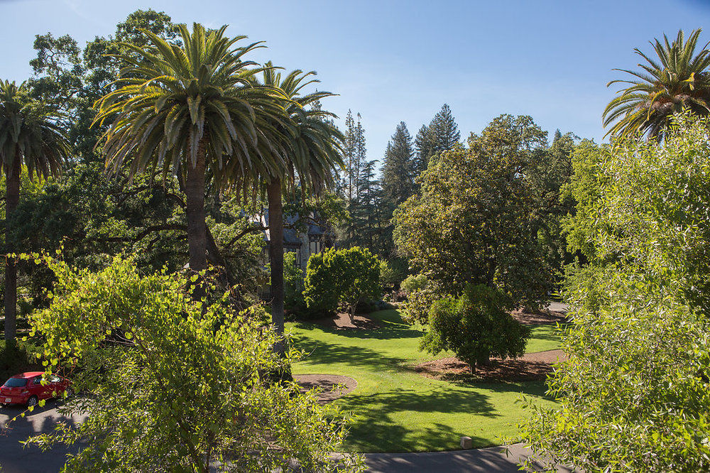 Alila Napa Valley, A Hyatt Resort St. Helena Exteriér fotografie