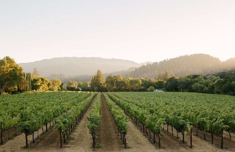 Alila Napa Valley, A Hyatt Resort St. Helena Exteriér fotografie