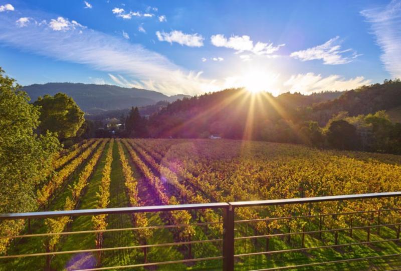 Alila Napa Valley, A Hyatt Resort St. Helena Exteriér fotografie