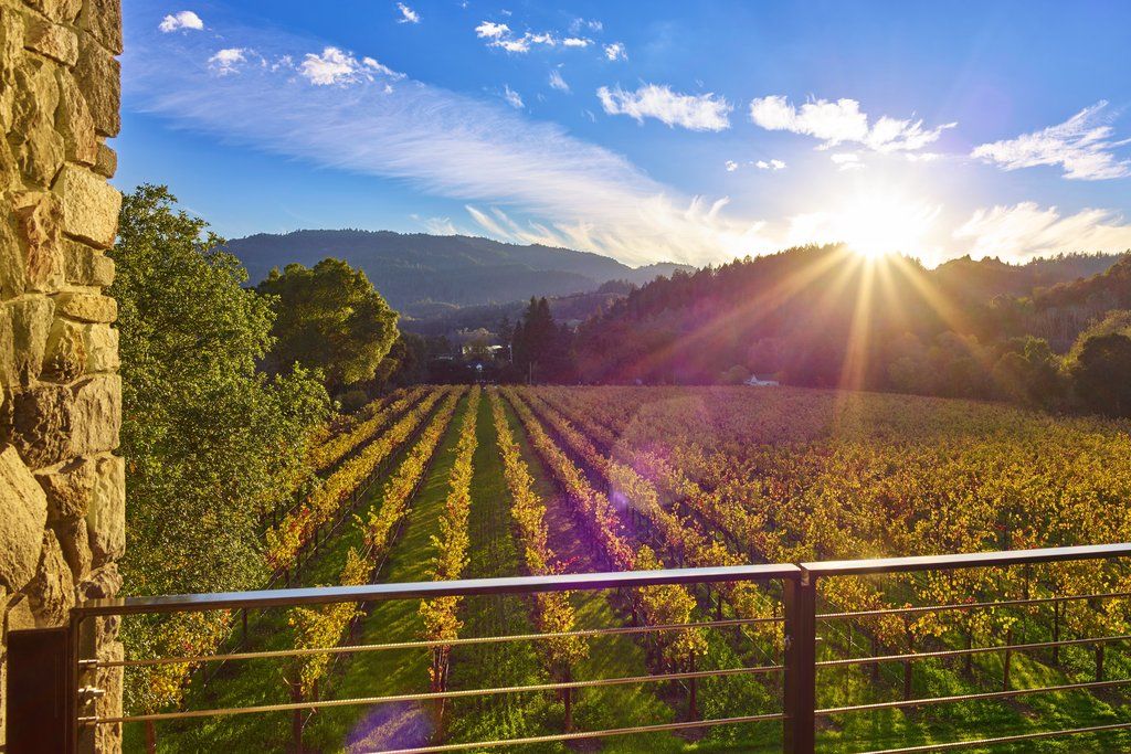 Alila Napa Valley, A Hyatt Resort St. Helena Exteriér fotografie